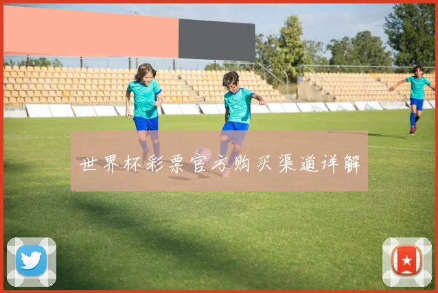 世界杯彩票官方购买渠道详解