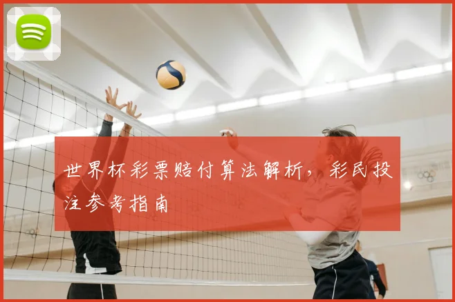 世界杯彩票赔付算法解析，彩民投注参考指南