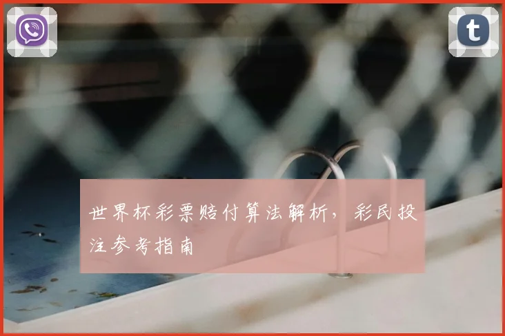 世界杯彩票赔付算法解析，彩民投注参考指南