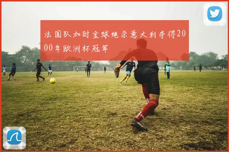 法国队加时金球绝杀意大利夺得2000年欧洲杯冠军