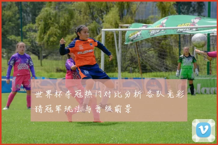世界杯夺冠热门对比分析 各队竞彩猜冠军玩法与晋级前景